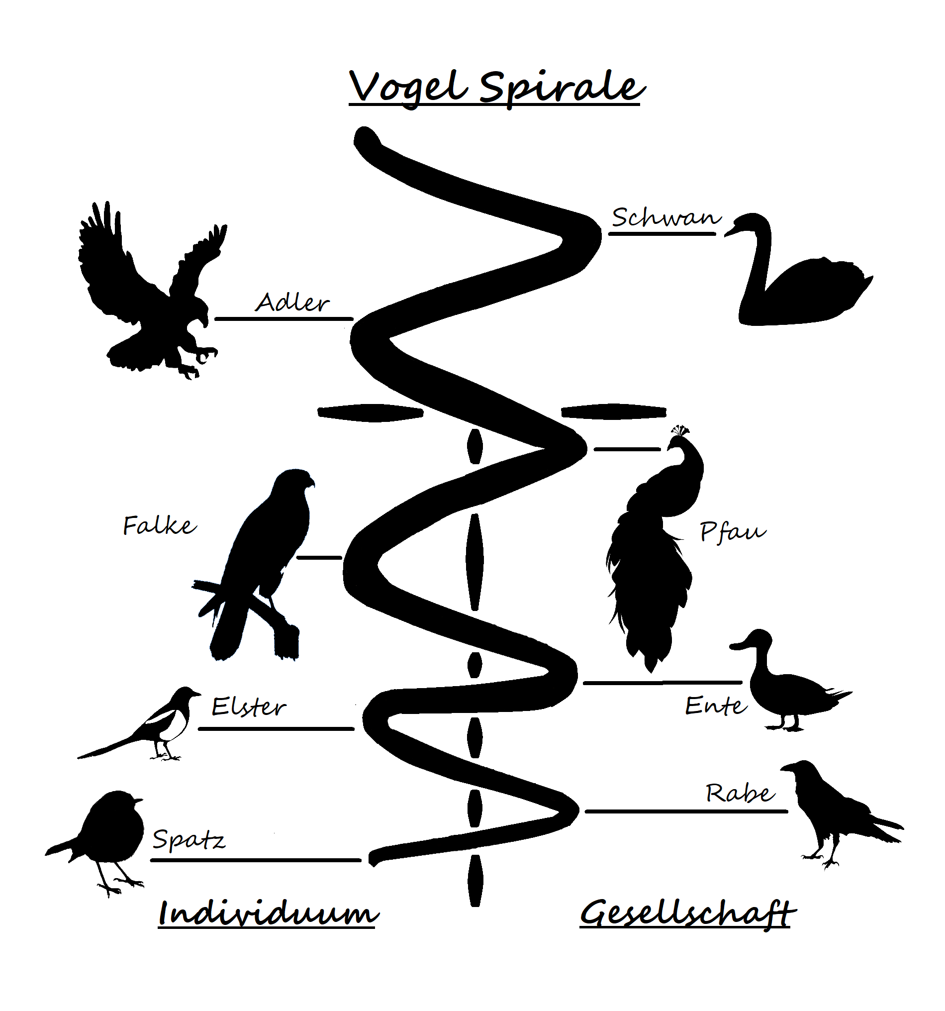 Vogel-Spirale